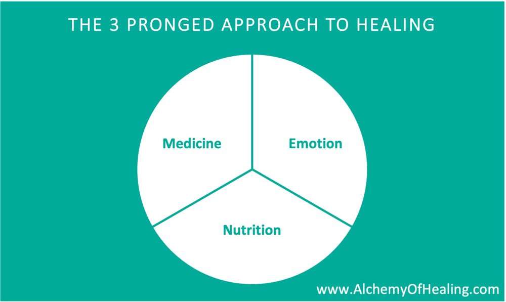 Pie chart of the 3 elements of healing, nutrition, emotion and medicine
